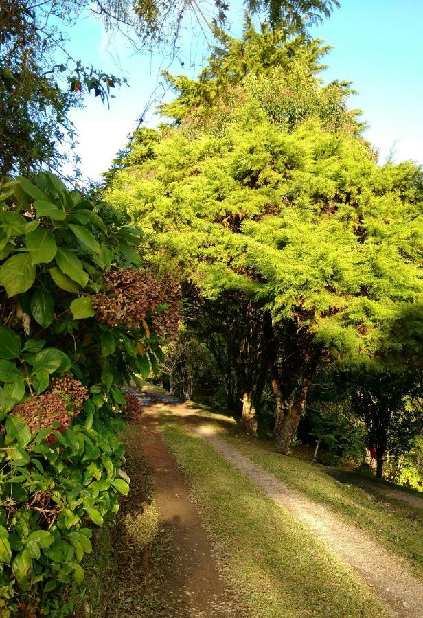 Estalagem Reserva Da Collina グラマド エクステリア 写真